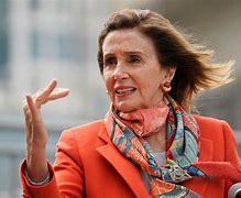 Image result for Pelosi in Hair Rollers