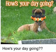 Image result for How's Your Day Going Meme