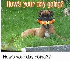 Image result for How's Your Day Going Funny