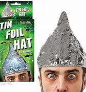 Image result for Tin Foil Hat Man