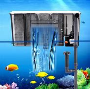 Image result for Water Be Touching Filter in Fish Tank