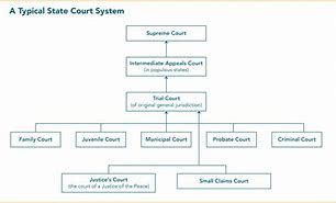 Image result for Criminal Justice System Courts