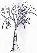 Image result for Tree Sketch