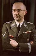 Image result for Heinrich Himmler Grey Tunic