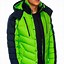 Image result for Green Winter Jacket