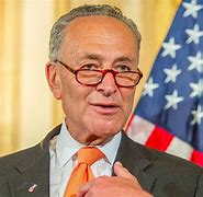 Image result for Chuck Schumer during SOTU