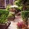Image result for patio decking plants