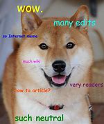 Image result for Ironic Dog Memes