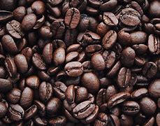 Image result for Coffee Beans