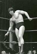 Image result for lanny poffo