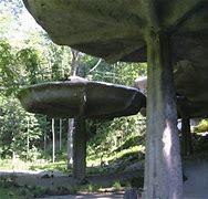 Image result for Mushroom House Powder Mill Park
