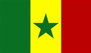 Image result for Le Senegal Drapeau