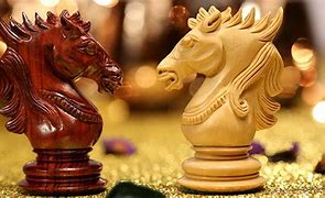 Image result for Chess Knight Game