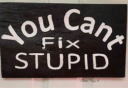 Image result for You Can't Fix Stupidity