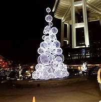 Image result for Christmas Lights On Outdoor Tree