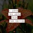 Image result for Love Quotes Simple