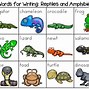 Image result for Names of Amphibians