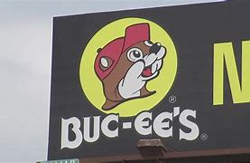 Image result for Ancient beaver named after Buc-ee's