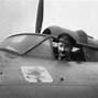 Image result for Germany and Italy WW2