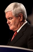 Image result for Newt Gingrich 360