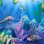 Image result for Deep Sea Wallpaper