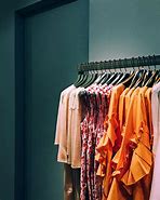 Image result for Old Spring Clothes Wall Hanger
