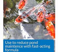 Image result for API Pond Simply Clear Pond Water Clarifier, 32-Oz Bottle