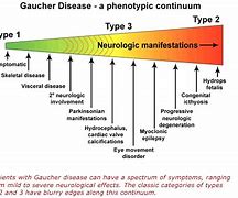 Image result for Types of Gaucher's Disease