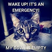 Image result for Time to Wake Up Meme