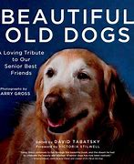 Image result for Old Dogs DVD