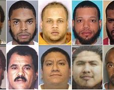 Image result for USA Criminals