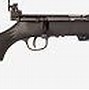 Image result for Most Accurate 22 Long Rifle