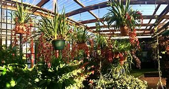 Image result for Walmart Lawn and Garden Center