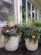 Image result for Ideas for Large Planters