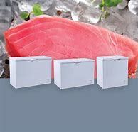Image result for Retail Chest Freezer