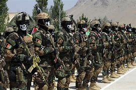 Image result for Special Forces in Afghanistan War