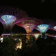 Image result for Singapore Lights
