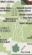 Image result for Belanglo State Forest Murders
