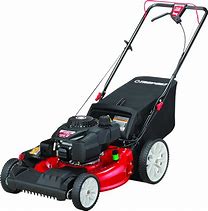 Image result for gas push mowers