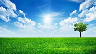 Image result for Real Sunny Bright Day