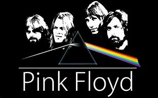 Image result for Pink Floyd Bass Player