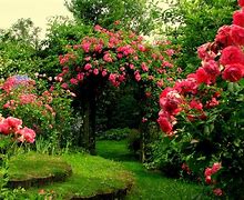Image result for Rose Garden Background