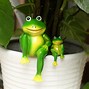 Image result for Outdoor Frog Decor