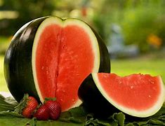 Image result for Baby Watermelon