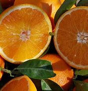 Image result for Vitamin C Therapy