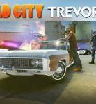 Image result for Mad City Nighthawk