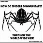 Image result for Spider Web Jokes