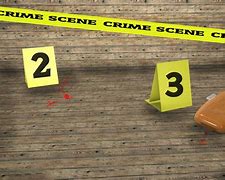 Image result for Crime TV Shows