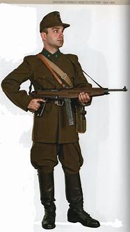 Image result for WWII Hungarian Uniform