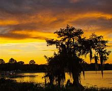 Image result for Leesburg Florida Attractions